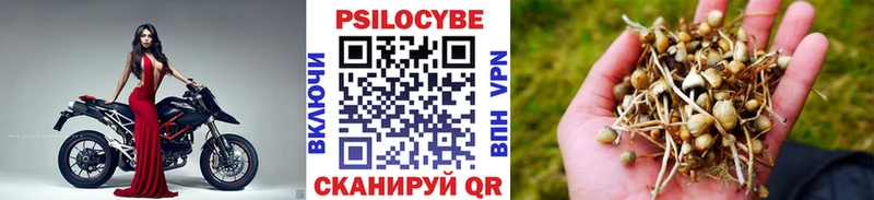 блэк спрут ссылка  закладки  нарко площадка клад  Псилоцибиновые грибы Magic Shrooms  Зерноград 