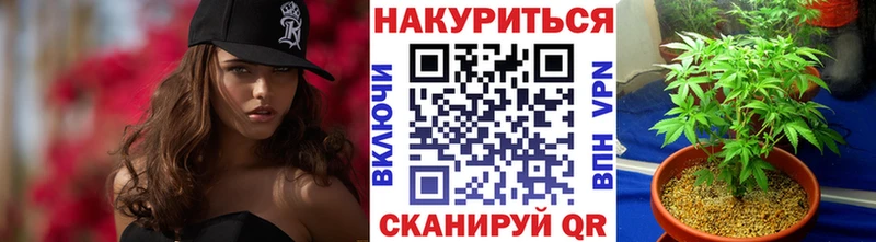 цена наркотик  кракен вход  Бошки Шишки OG Kush  Зерноград 